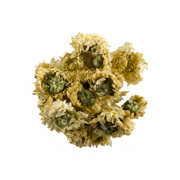 Herbs Chrysanthemum Tea Tisane, herbal tea, herbal chrysanthemum tea, chrysanthemum tea, loose leaf tea, loose leaf herbal tea, loose leaf chrysanthemum tea, zentea, zentea loose leaf herbal tea