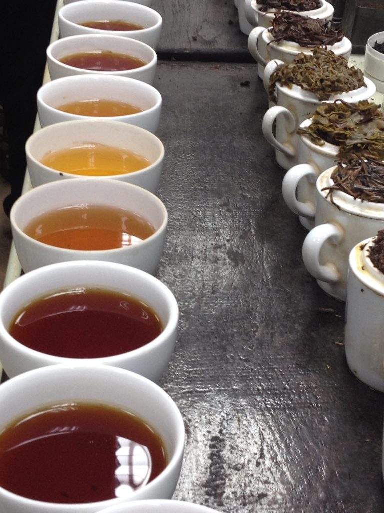 Tea Cupping, Black Tea cupping, Tea tasting